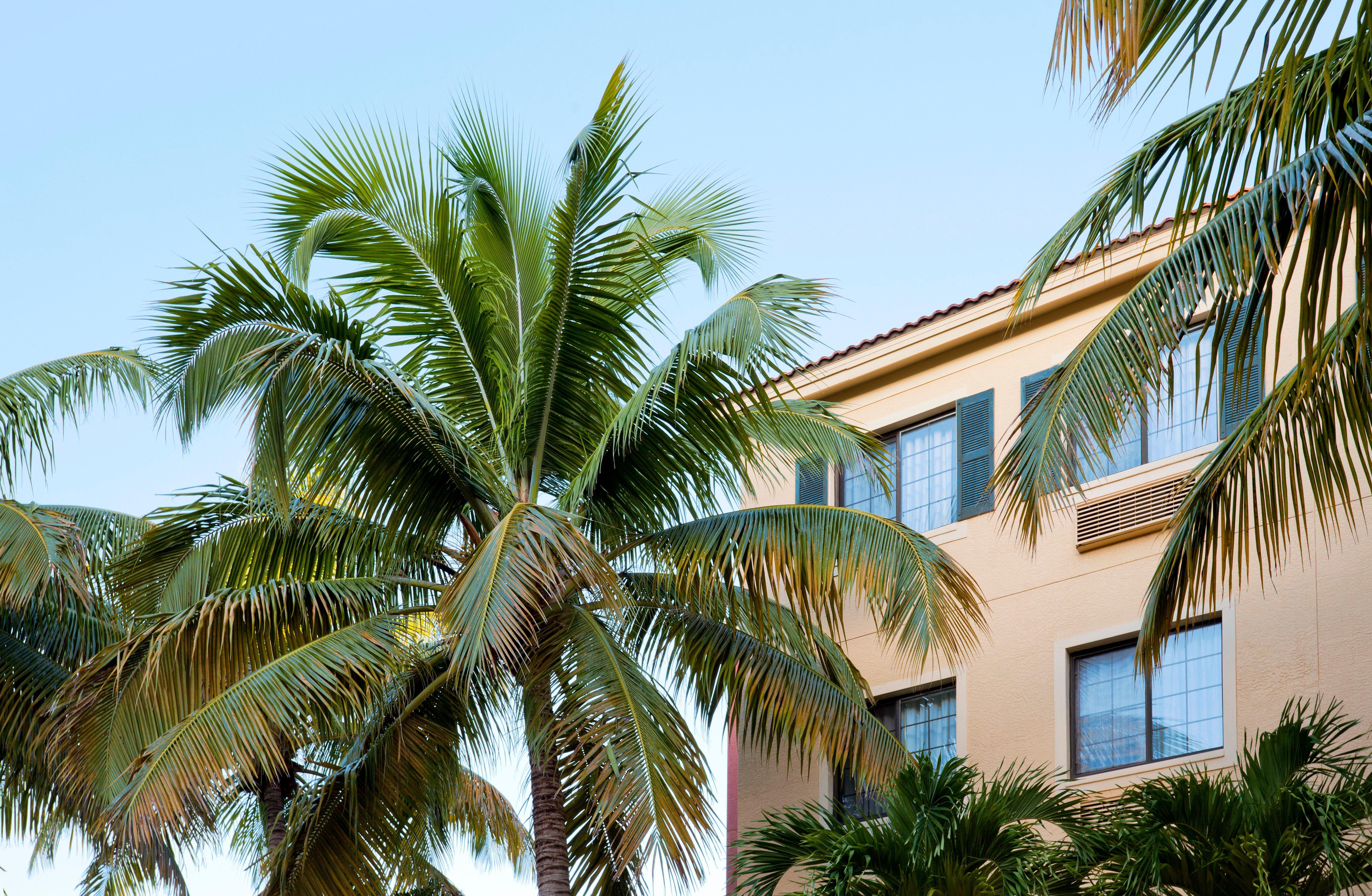 Staybridge Suites Naples - Gulf Coast, An Ihg Hotel Eksteriør bilde